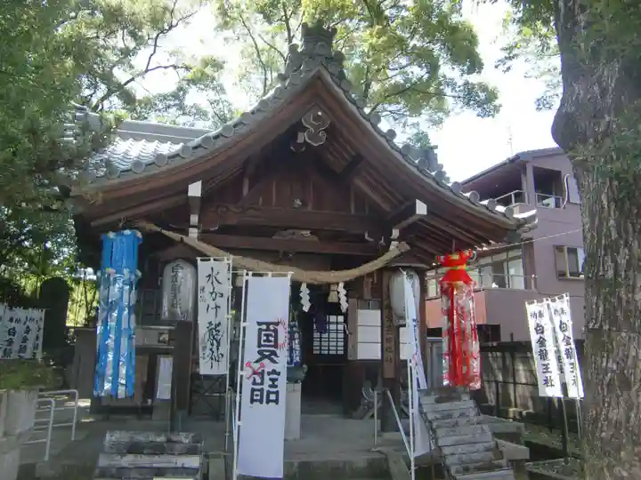 白金龍王社の本殿・本堂