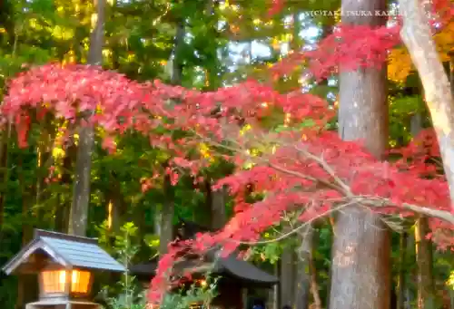 小國神社(静岡県)