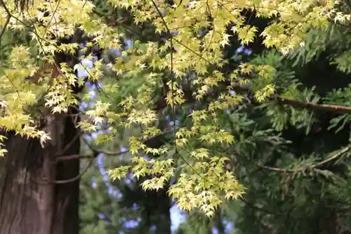 鹿島大神宮の景色