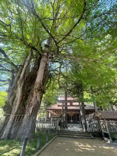 筒賀大歳神社(広島県)