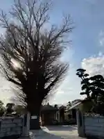 西円寺(茨城県)