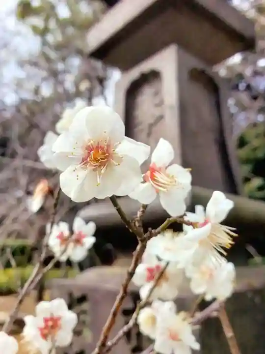 赤坂氷川神社(東京都)