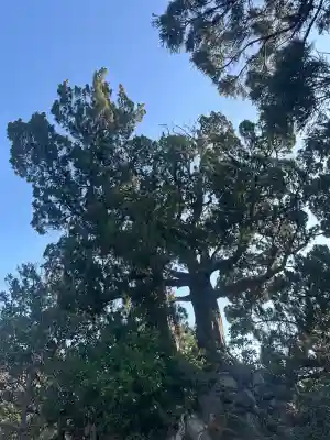森戸大明神（森戸神社）(神奈川県)