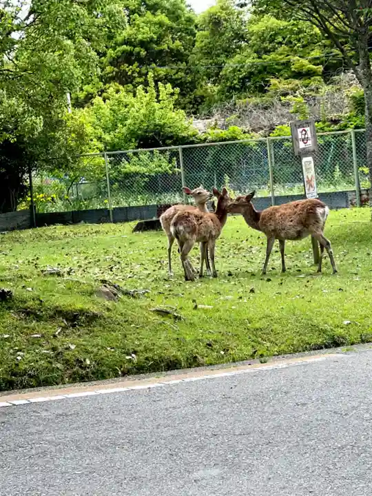 東大寺真言院(奈良県)