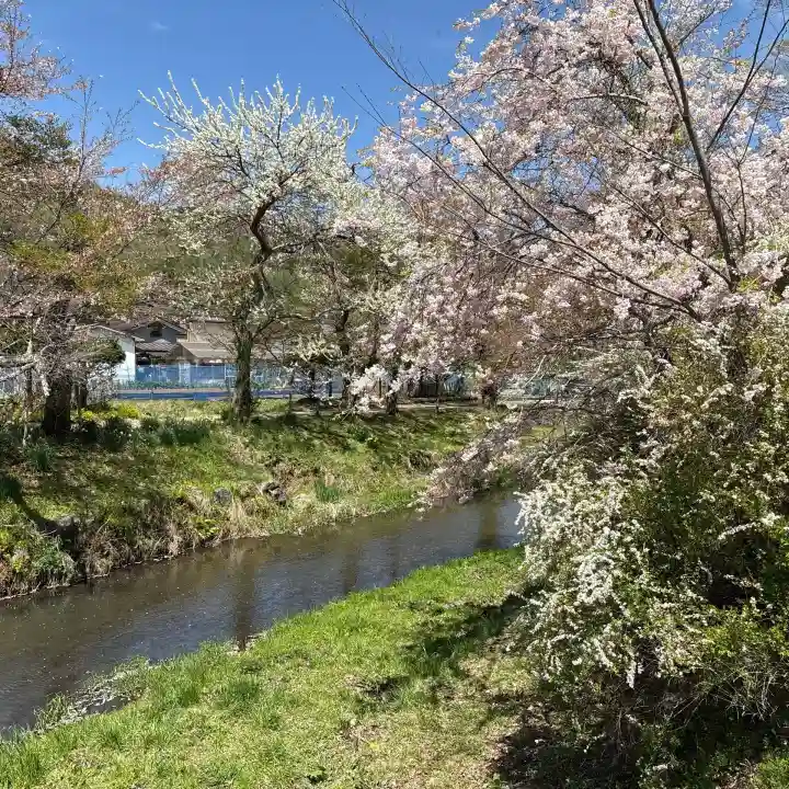 淺間神社(忍野八海)の{uncategorized: "未分類", other: "その他", undefined: "問題あり", building: "その他建物", grave: "お墓", sacred_gate: "鳥居", guardian: "狛犬", statue: "像", buddha: "仏像", history: "歴史", nature: "自然", garden: "庭園", animal: "動物", pagoda: "塔", temizu: "手水舎", mountain_gate: "山門・神門", sanctuary: "本殿・本堂", subordinate: "末社・摂社", art: "芸術", scenery: "景色", jizo: "地蔵", ema: "絵馬", goshuin: "御朱印", omikuji: "おみくじ", items: "授与品その他", amulet: "お守り", goshuincho: "御朱印帳", eats: "食事", festival: "お祭り", votive_dance: "神楽", shichigosan: "七五三参", wedding: "結婚式", experience: "体験その他", initially: "初詣", around: "周辺", anti_infection: "感染症対策"}