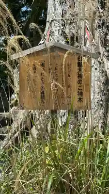 吉祥草寺(奈良県)