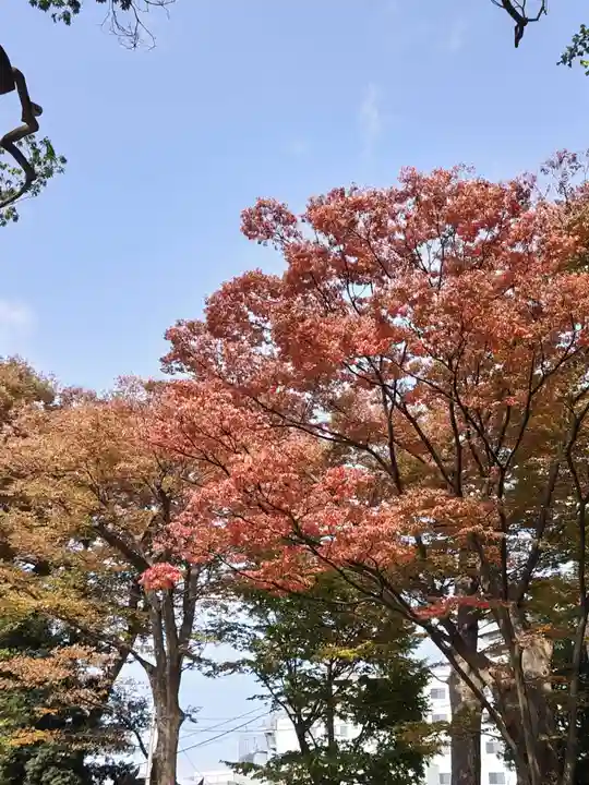 安積國造神社(福島県)