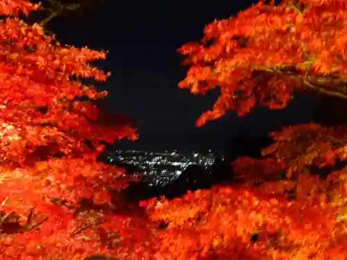 大山寺(神奈川県)