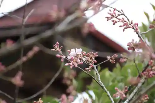 田村神社の自然
