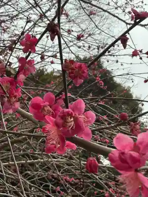 近江神宮(滋賀県)