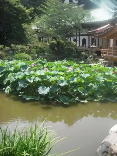 光明寺の庭園