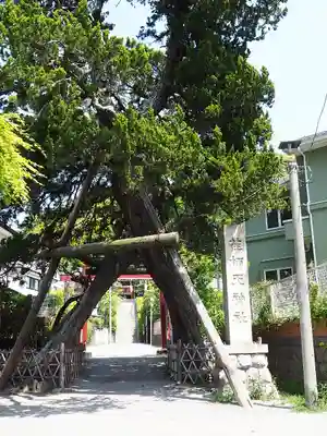 荏柄天神社(神奈川県)