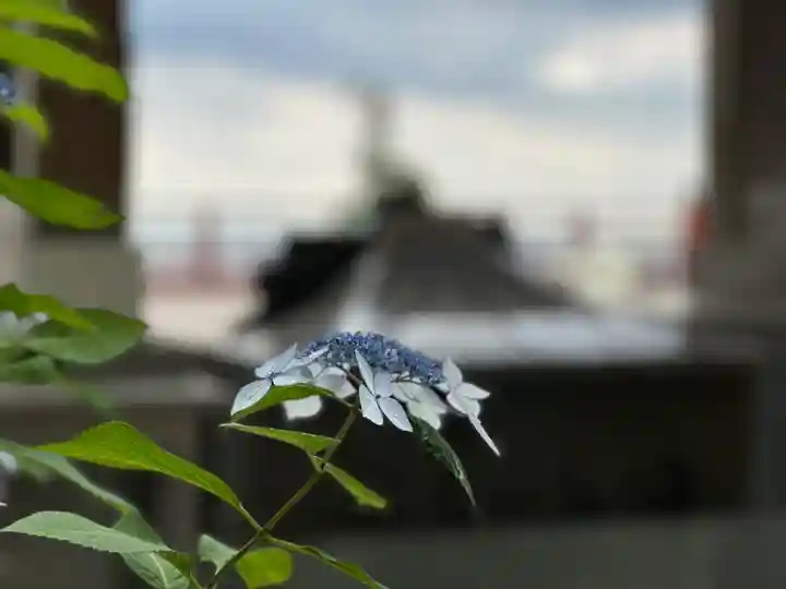 多摩川浅間神社(東京都)