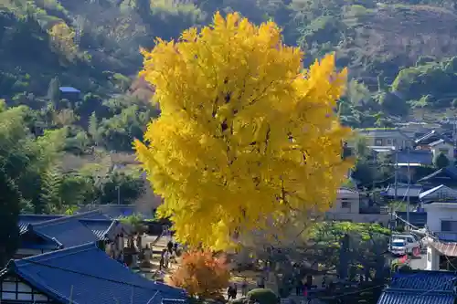 丹生酒殿神社の自然