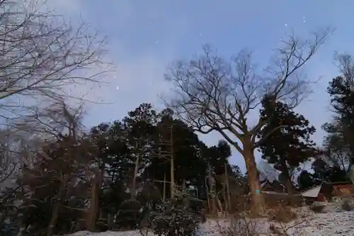 阿久津「田村神社」（郡山市阿久津町）旧社名：伊豆箱根三嶋三社の自然
