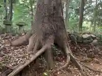 天之宮大神(千葉県)