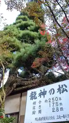 龍泉寺(岡山県)