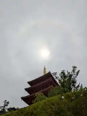 高幡不動尊 金剛寺(東京都)