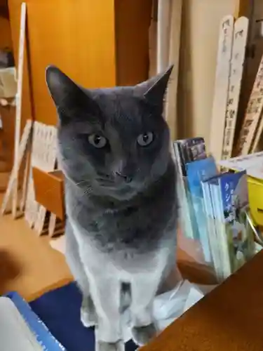 観音寺のその他建物