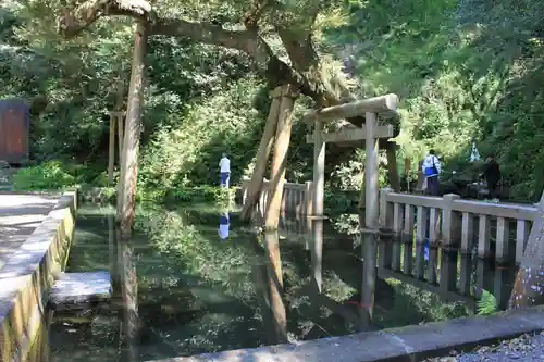 鹿島神宮(茨城県)