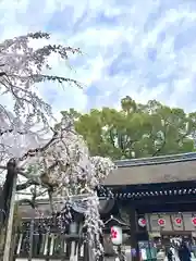 平野神社(京都府)