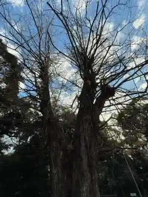 赤坂氷川神社(東京都)