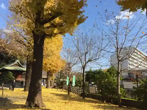 平塚神社のその他建物