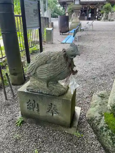 玉祖神社の狛犬