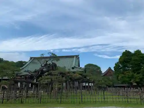 大光院 新田寺のその他建物
