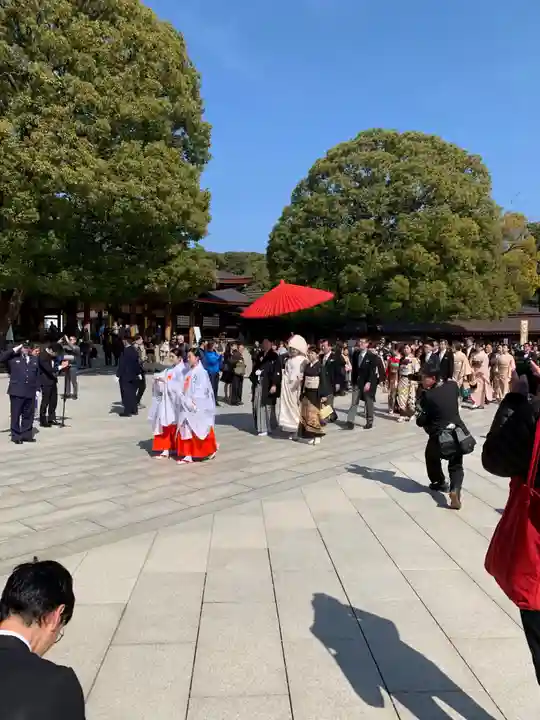 明治神宮(東京都)