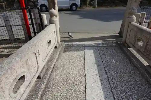 杭全神社の動物