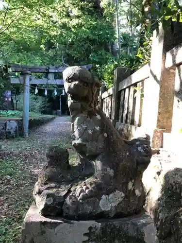 朝倉神社の狛犬