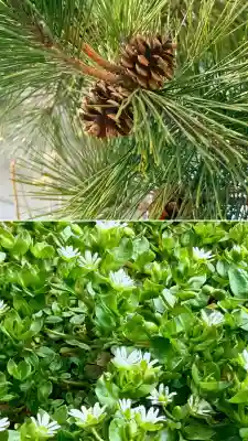 海神社の{uncategorized: "未分類", other: "その他", undefined: "問題あり", building: "その他建物", grave: "お墓", sacred_gate: "鳥居", guardian: "狛犬", statue: "像", buddha: "仏像", history: "歴史", nature: "自然", garden: "庭園", animal: "動物", pagoda: "塔", temizu: "手水舎", mountain_gate: "山門・神門", sanctuary: "本殿・本堂", subordinate: "末社・摂社", art: "芸術", scenery: "景色", jizo: "地蔵", ema: "絵馬", goshuin: "御朱印", omikuji: "おみくじ", items: "授与品その他", amulet: "お守り", goshuincho: "御朱印帳", eats: "食事", festival: "お祭り", votive_dance: "神楽", shichigosan: "七五三参", wedding: "結婚式", experience: "体験その他", initially: "初詣", around: "周辺", anti_infection: "感染症対策"}