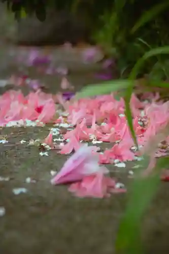 正安寺(神奈川県)