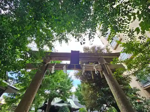 小野照崎神社の鳥居