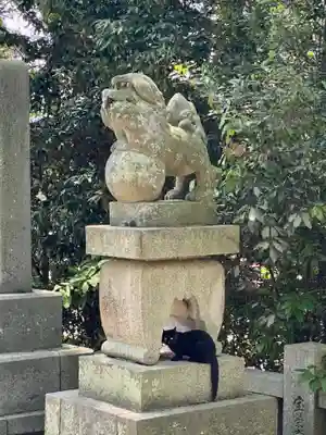 琴彈八幡宮(香川県)
