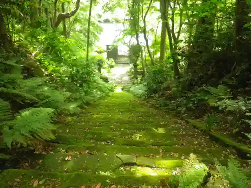 妙法寺の景色