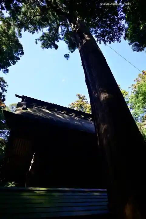 奥宮(鹿島神宮摂社)(茨城県)