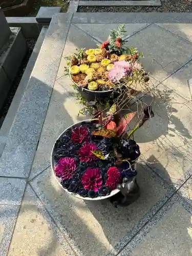 徳星寺(埼玉県)