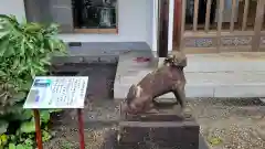 若宮神社の狛犬