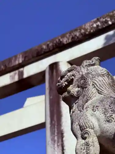 多賀大社(滋賀県)