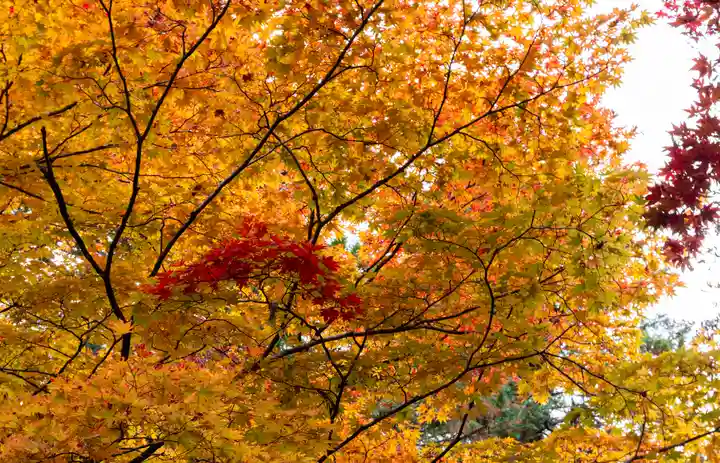 大矢田神社(岐阜県)