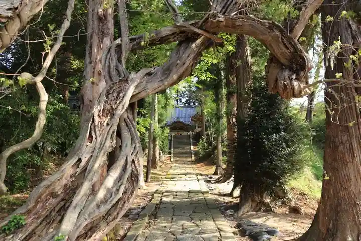 春日神社の自然