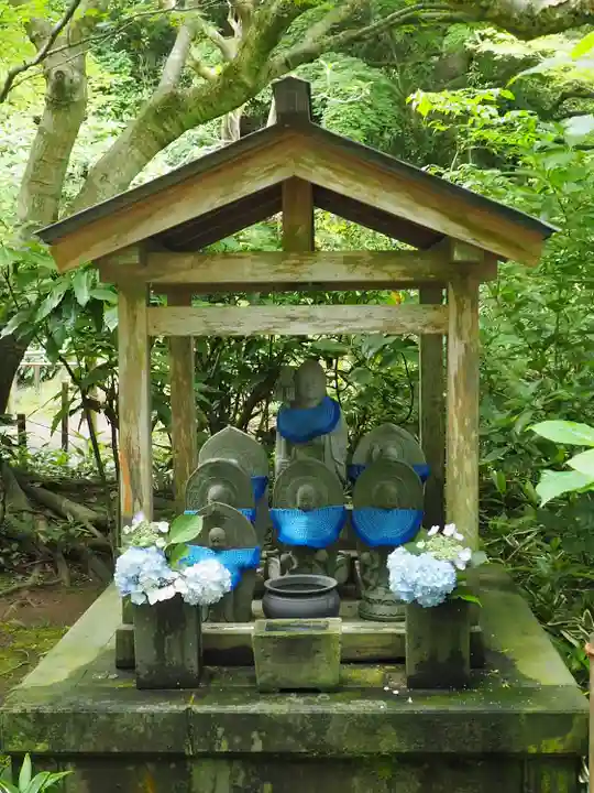 明月院(神奈川県)
