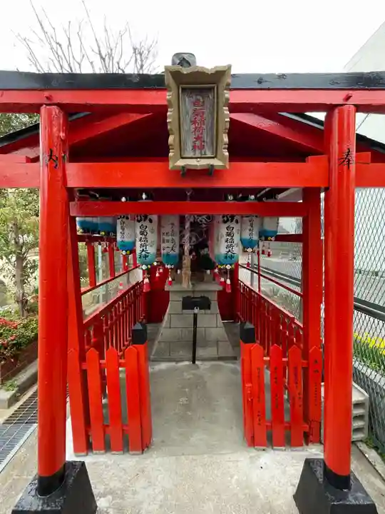 白菊稲荷大神(兵庫県)