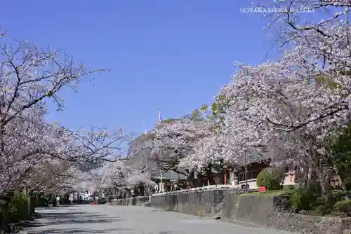 富士山本宮浅間大社(静岡県)
