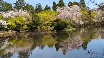 龍安寺(京都府)