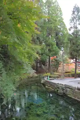 白川吉見神社(熊本県)