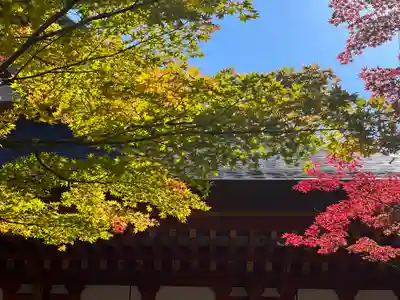 毛越寺(岩手県)