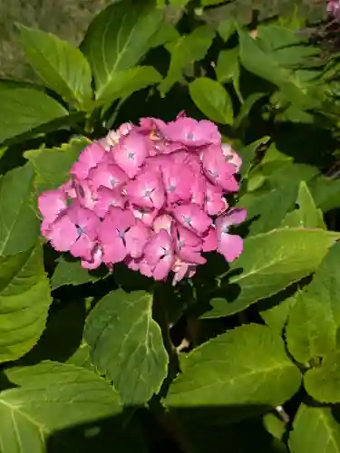 西野神社(北海道)